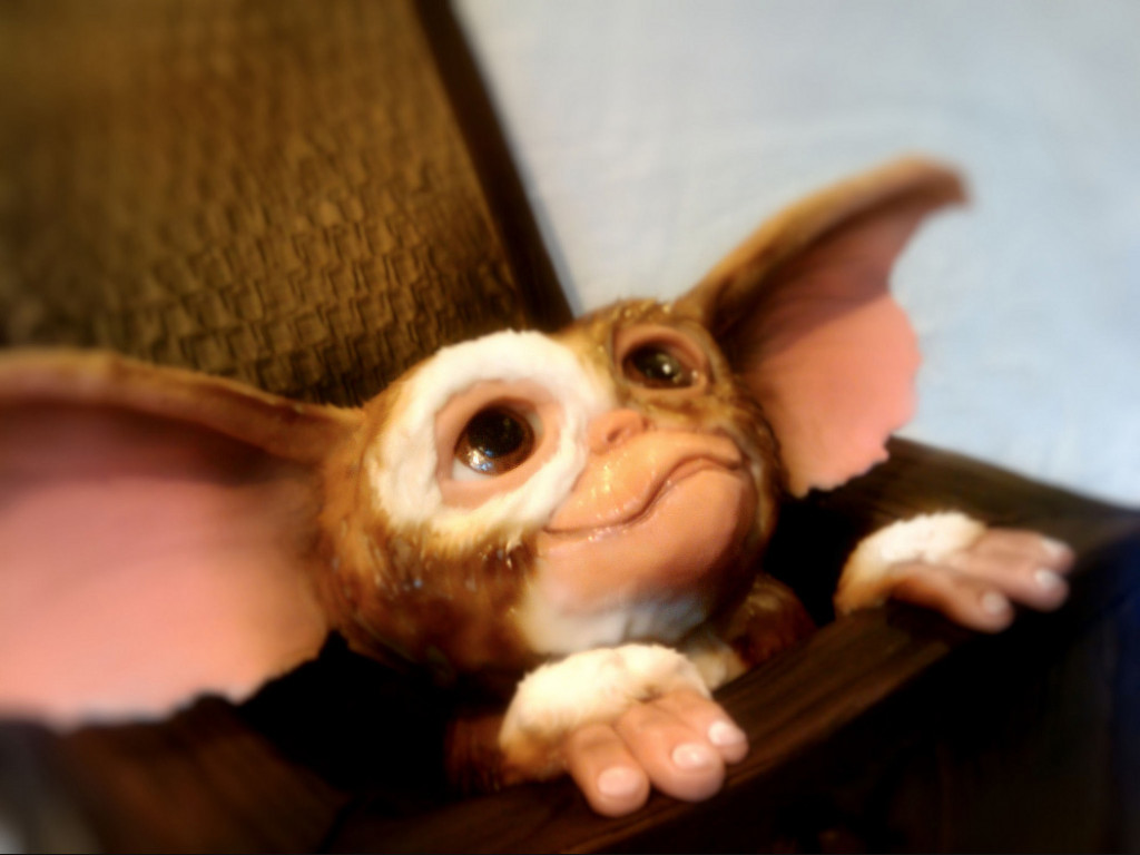 gizmo001B